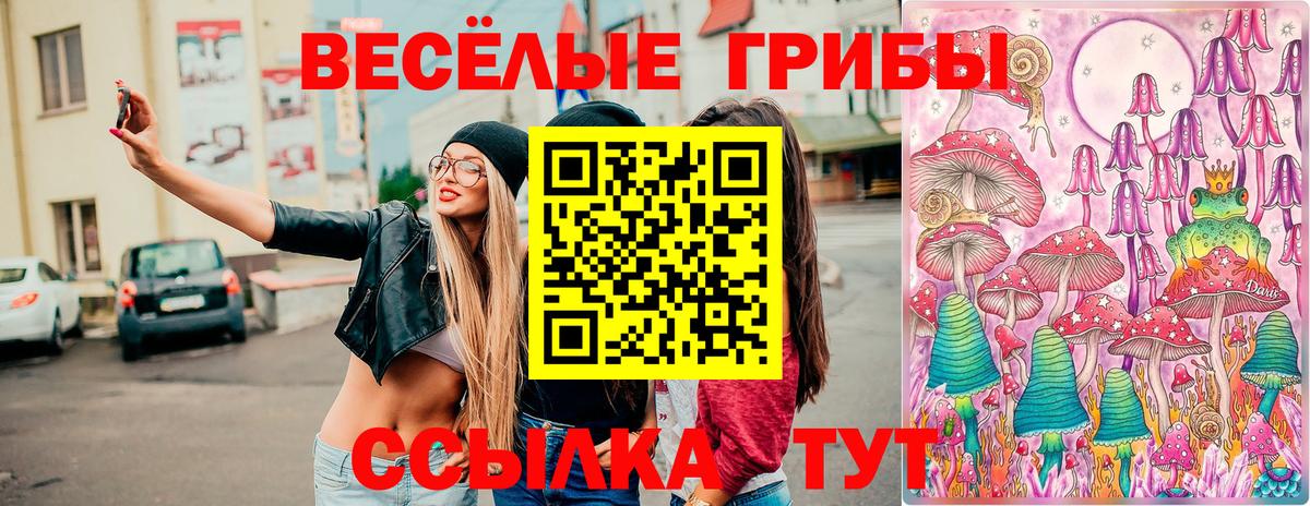 Псилоцибиновые грибы мухоморы  Псилоцибиновые грибы мицелий  Вход с VPN  наркотики  Петропавловск-Камчатский 